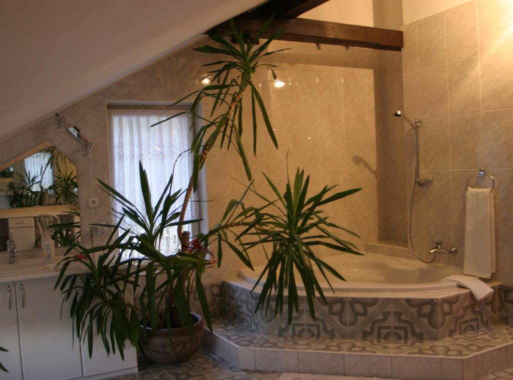 Villa Ambra グダニスク 部屋 写真